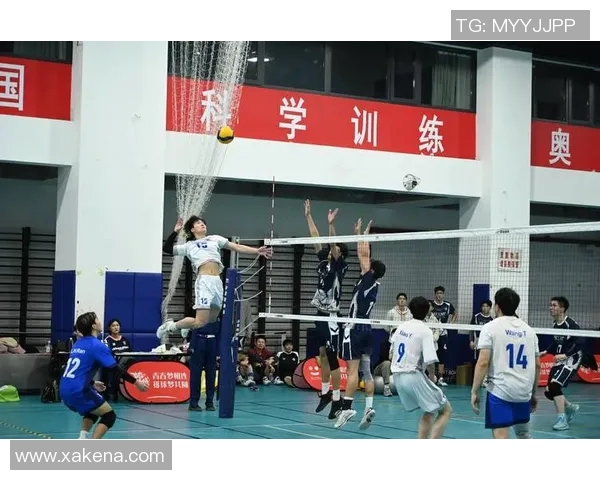 南京排球队实力强劲荣登全国排球力量排行榜第三名