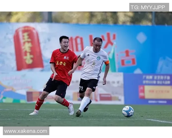 王老吉足球明星背后的故事与成就解析